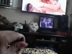 Video_Cam 3_Pen sex
