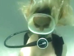 scuba holly hallston