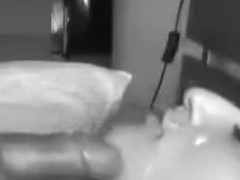 Great Brunette Girlfriend Blows Stiff