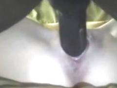 Amateur