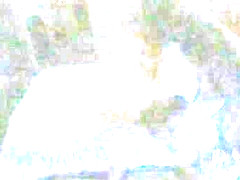 Sex cam pt 1